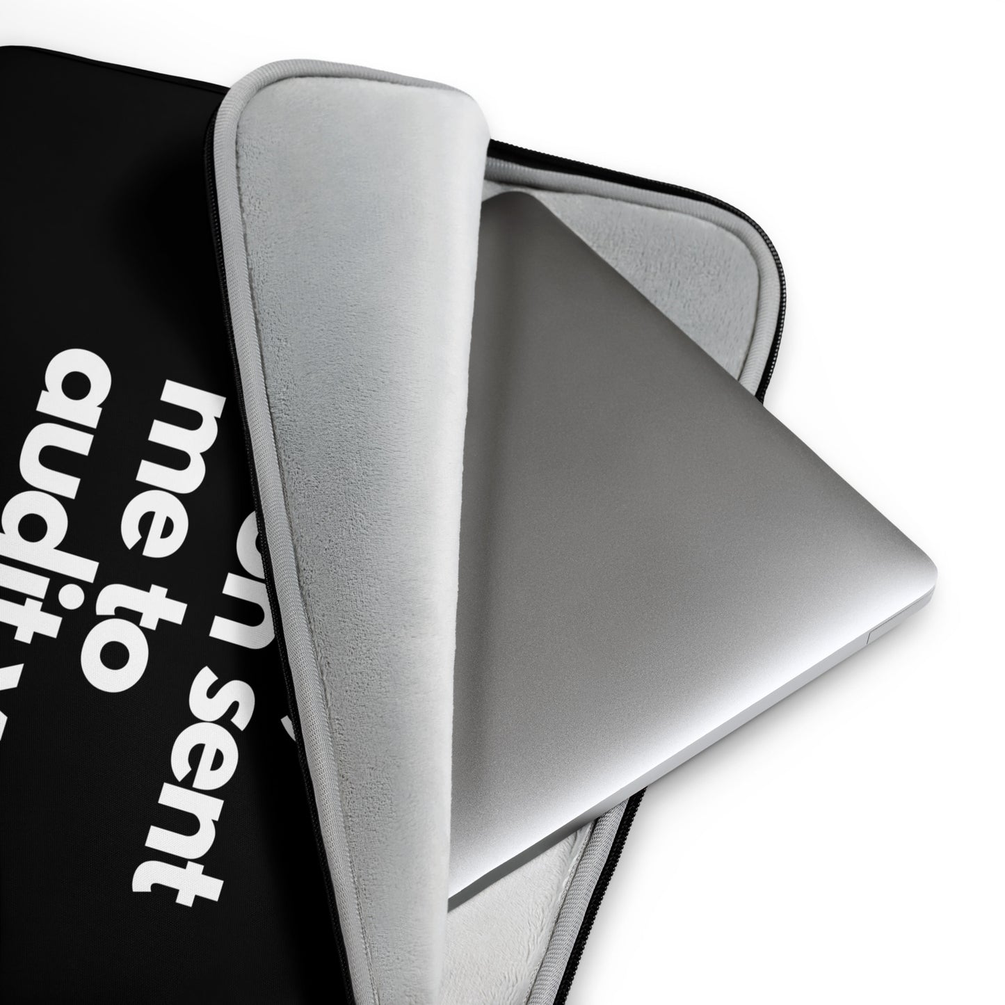 DOGE hello elon sent me to audit you laptop sleeve opening