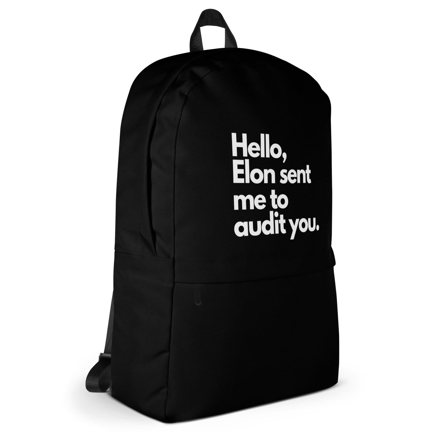 Hello, Elon sent me to audit you Backpack